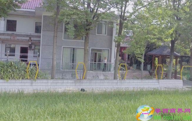 中国工程院院士家门口的试验田。  湖南杂交水稻研究中心研究员 辛业芸 图