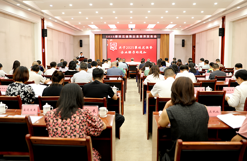 擘画蓝图 聚势而进 攀枝花发布2025强势企业排序榜单 ——政企同心共谋高质量发展新篇章